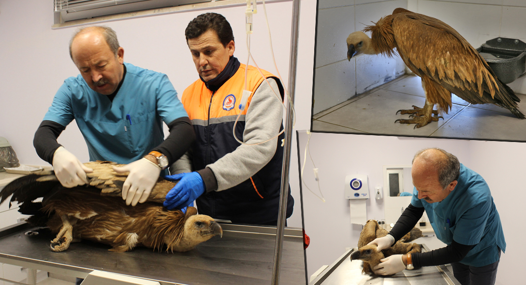 AKBABAYA BÜYÜKŞEHİR SAHİP ÇIKTI