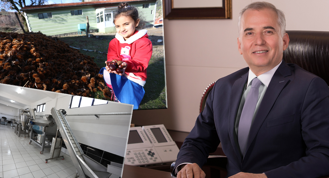 KIRSAL KALKINMAYA DESTEK