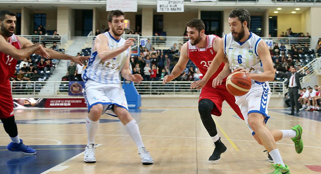 POTANIN HOROZLARI ‘EFE’LENECEK