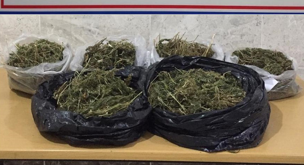 HONAZ’DA UYUŞTURUCU OPERASYONU