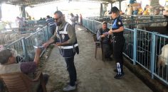 EMNİYET KURBAN PAZARINDA VATANDAŞLARI UYARDI