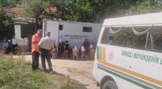 OTOMOBİLİN ÇARPTIĞI YAŞLI KADIN ÖLDÜ