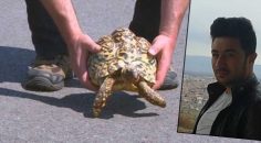 KAPLUMBAĞAYI KURTARMAK İSTERKEN ÖLDÜ