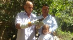 KERKENEĞİ BELEDİYE İŞÇİSİ KURTARDI