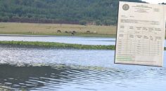 BALIK ÖLÜMLERİNİN NEDENİ AÇIKLANDI