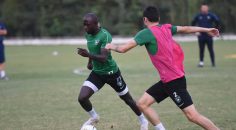 HOROZ GALİBİYETE ŞARTLANDI