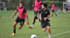 HOROZ ALACAK ZENGİNİ