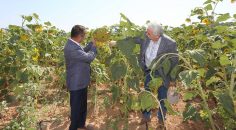 PAÜ’NÜN YERLİ ÜRETİMDE İLK MAHSÜLÜNÜ ALDI