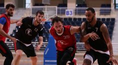 POTANIN HOROZLARI HER ŞEYE HAZIR