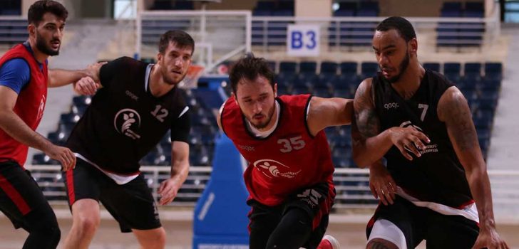 POTANIN HOROZLARI HER ŞEYE HAZIR