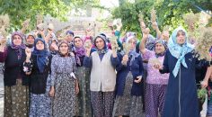 GÜZELPINAR’DA TAŞ OCAĞI İSYANI