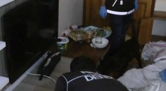 İKİ ÇETE ÇÖKERTİLDİ, 6 KİŞİ TUTUKLANDI