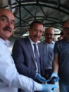 PAÜ’DEN ÇEVREYE DUYARLI PROJELER