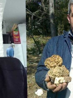 GÜNEY İLÇESİNDE İNTİHAR