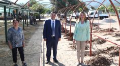 MERKEZEFENDİ, KENDİ ÇİÇEĞİNİ KENDİ YETİŞTİRECEK