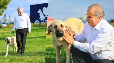 ARTIK ‘MUTLU’ VE GÜVENDE