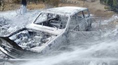 ÇAMELİ’DE OTOMOBİL YANGINI ORMANI YAKIYORDU!