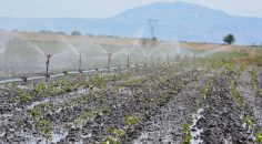 DENİZLİ’DE 730 BİN DEKAR TARIM ARAZİSİ SULANDI