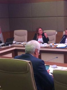 “HAYVAN HAKLARI YASASI’NIN ÇIKMASINI HIZLANDIRACAĞIZ”