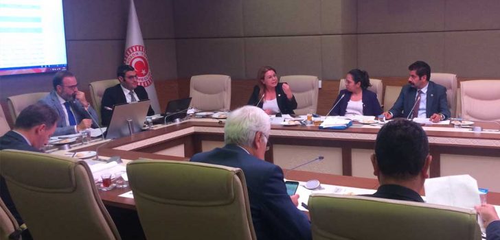 “HAYVAN HAKLARI YASASI’NIN ÇIKMASINI HIZLANDIRACAĞIZ”