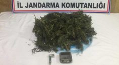 SERİNHİSAR’ DA UYUŞTURUCU OPERASYONU