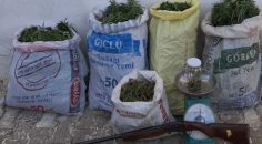 ÇAL’DA 16 KİLO ESRAR YAKALANDI