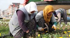 MERKEZEFENDİ’DE ÇİÇEKLER AÇTI