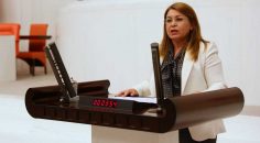 MENDERES NEHRİ VE DALAMAN ÇAYI İÇİN KİRLİLİK SORUSU