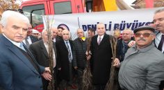 CEVİZİN BAŞKENTİ DENİZLİ OLACAK