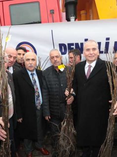 CEVİZİN BAŞKENTİ DENİZLİ OLACAK