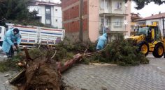 PAMUKKALE BELEDİYESİ’NDE FIRTINA MESAİSİ