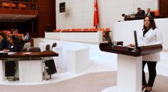MİLLETVEKİLİ ÖK, “KADINA ŞİDDET SON BULMALIDIR”