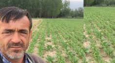 ÇİFTÇİNİN AİLESİNİ DOLANDIRDILAR