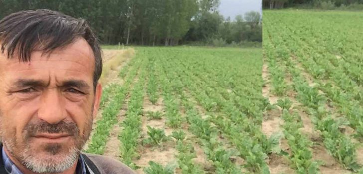 ÇİFTÇİNİN AİLESİNİ DOLANDIRDILAR