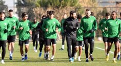 HOROZ KUPADA AVANTAJ ELDE ETMEK İSTİYOR