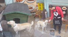 DAYAK YEMİŞ KÖPEĞE SAHİP ÇIKTI