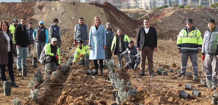 MERKEZEFENDİ’YE LAVANTA BAHÇESİ