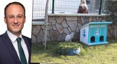 PAMUKKALE’DE AHŞAP ATIKLAR KEDİLERE EV OLUYOR