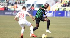 HOROZ KÖTÜ GİDİŞE ‘DUR’ DİYECEK