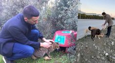 ÜLKÜ OCAKLARI SOKAK HAYVANLARINI UNUTMADI