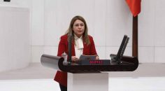 CHP DOĞA HAKLARI’NDAN ACİL EYLEM PLANI ÇAĞRISI