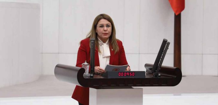 CHP DOĞA HAKLARI’NDAN ACİL EYLEM PLANI ÇAĞRISI