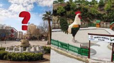 HOROZ YOK OLDU! BÜYÜKŞEHİR’DEN ‘EVDEKAL’ ÇAĞRISI