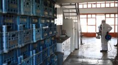 TOPTANCI HALİ’NDE KORONAVİRÜS ÖNLEMLERİ ALINIYOR