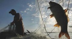 BALIK AVI YASAĞI BAŞLADI