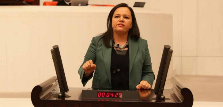 MİLLETVEKİLİ ÖK TBMM’DE KABUL EDİLEN KANUN HAKKINDA BİLGİ VERDİ