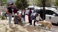 KARANTİNA GÜNLERİNDE SOKAK HAYVANLARI UNUTULMADI