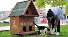 PAMUKKALE BELEDİYESİ SOKAK HAYVANLARINI UNUTMADI