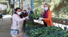 120 BİN FİDE ÜRETİCİYLE BULUŞTU