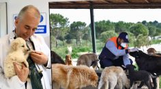 DENİZLİ’DE BİNLERCE SOKAK HAYVANI SAHİPLENDİRİLDİ